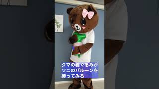 クマの着ぐるみがワニのバルーンを持つ(Twitter掲載分にアレンジ) #Shorts #bear #costume #着ぐるみ #熊 #マスコット