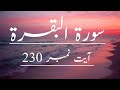 Surah - Al Baqarah Ayat No.230 With Translation