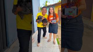 Cocomelon and dog 🤣🐶🐕❤️🌈🔵 #Shorts #Funny