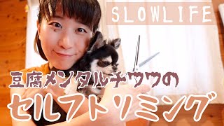 豆腐メンタルチワワのセルフトリミングやってみた🐶【セルフカット・OL・vlog】#海辺暮らしVlog