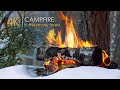 Campfire In A Snowy Forest ❄️ Natural Ambience  Crackling Sounds