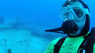 Hawaii Scuba diving (near drowning during panic attack underwater)