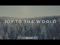 Joy To The World | Christmas Lyric Video | Reawaken Hymns