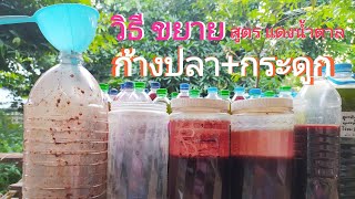 จุลินทรีย์สังเคราะห์แสง Ep.208_วิธีขยายหัวเชื้อ สูตรแดงน้ำตาล ก้างปลา+กระดูก มาทำความเข้าใจก่อนขยาย