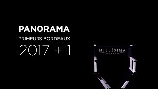 Primeurs Bordeaux 2017 - Interview Cathrine Todd - Millésima