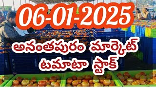 Anantapur Tomato market stock/today tomato rates #agriculture #tomato #Tomato rates #farming #tomato