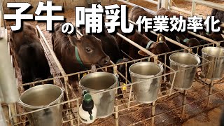 ミルク飲み場へ子牛ダッシュ　仕切り工夫で動線確保　哺乳を省力化（熊本県の有田牧場）