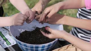 Bloembommetjes maken - Werkgroep Groen en Duurzaam Bergse Plaat