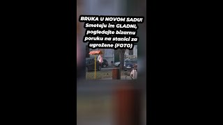 BRUKA U NOVOM SADU! Smetaju im GLADNI, pogledajte bizarnu poruku na stanici za ugrožene (FOTO)