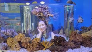 Ridley’s Aquarium of Canada Toronto, Ontario | Swans family Canada