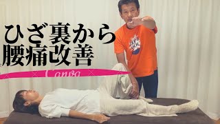 【撫でるだけ】ひざ裏から腰痛改善