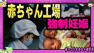 産ませた赤ちゃんを売る闇ビジネス 女性を監禁【 ゆっくり解説 怖い話 】