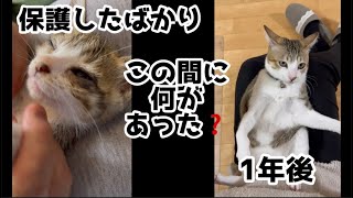 ぽこ先輩の過去が明らかに⁉️