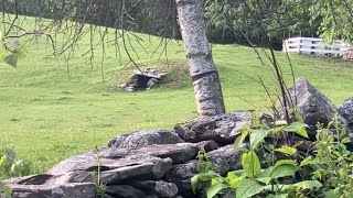 Mysterious mounds/ south county, Ma. Spencer
