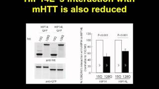 The role of palmitoylation in the pathogenesis of Huntington disease by Michael Hayden