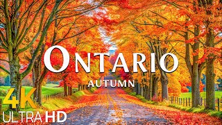 Ontario Autumn 4K UHD 🍂 Gorgeous Fall Foliage \u0026 Relaxing Autumn Ambience with Beautiful Piano Music