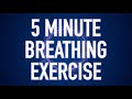 5 Minute Breathing Exercise - Guided Mindfulness Meditation 4K - Calming anxiety reduction