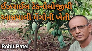 ઈઝરાઈલ ટેકનોલોજીથી આંબા કલમની ખેતી # UHDP Mango Farming # આમ્રપાલી મેંગોનું પ્લાન્ટેશન #