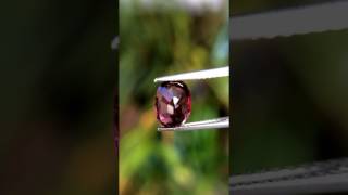 1.52ct Good Quality Natural Oval Purplish Red Rubellite Tourmaline Mozambique