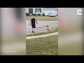 patient dog waits for owner to pick up ball from road