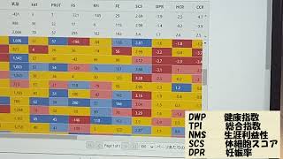 ゲノム解析で牛群改良　実践編