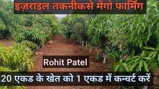 uhdp mango farming# इज़राइल तकनीकसे मेंगो फार्मिंग हिंदी # सघन बागवानी #