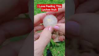 #yummy #lychee #fruit #asmr #shortvideo