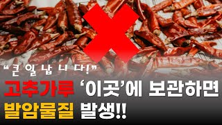 고추가루 '이곳'에 보관하면 발암물질이!! 농촌진흥청 연구자료 면밀 조사!