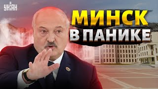 Новое ЧП для Беларуси: Лукашенко орет! Войска НАТО наготове, Минск в панике | ШЕЙТЕЛЬМАН