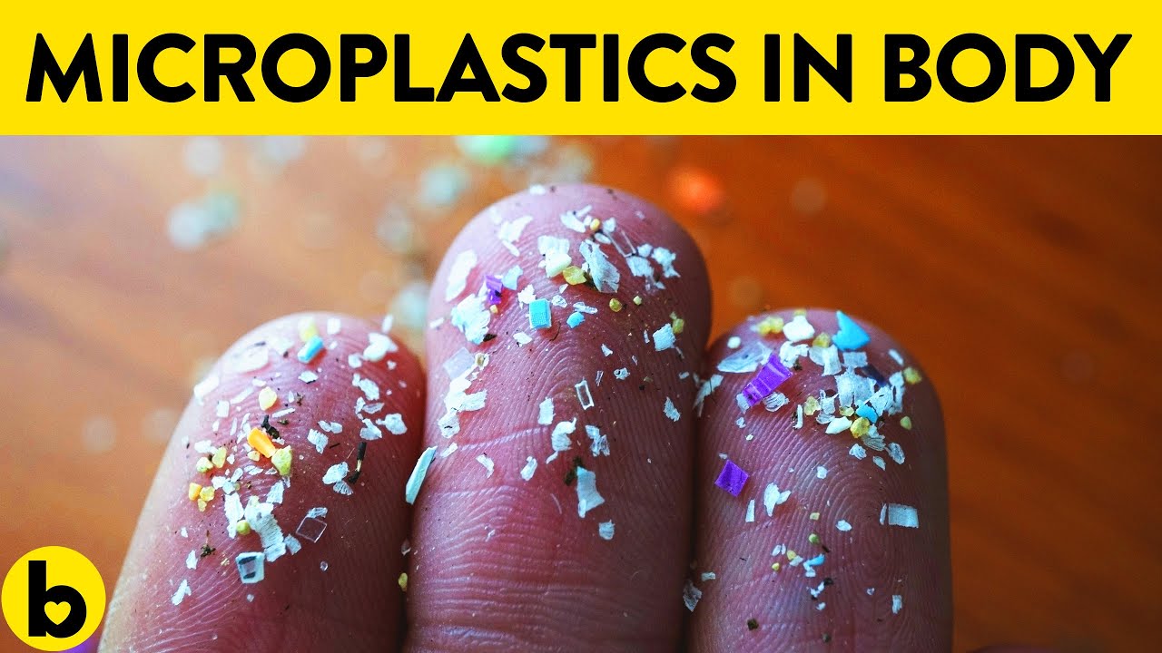 Top 7 Ways To Remove Microplastics From Your Body Youtube