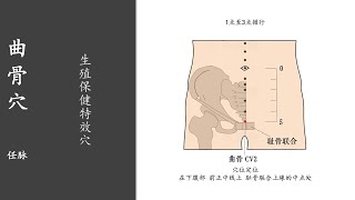 人体穴位306：曲骨：生殖保健特效穴，用艾条温和灸曲骨穴5～10分钟，1天1次，可治疗小便不利、遗尿 20220331.mp4