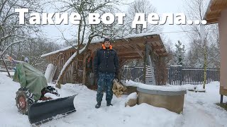 Плохие вести из колодца, лось подбирается к сену и деревенские будни в отпуске!