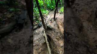 Trekking dangerous way at yellapur #travel #pondicherry #youtube #like #vlog #subscribe