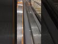 escalator 下りエスカレーター　 shorts