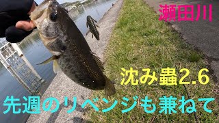 【バス釣り】沈み蟲2.6 フィールド情報　瀬田川　琵琶湖