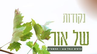 נקודות של אור - קיבוץ כרמים התשפ\