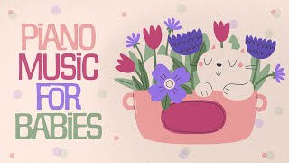 Schubert for Babies ❤️  3 HOURS ❤️  Classical Music for your baby