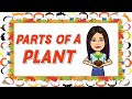 Parts of a Plant | Plants | Kindergarten | Science | Teacher Beth Class TV