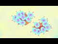 chimeric antigen receptor t cell car t therapy