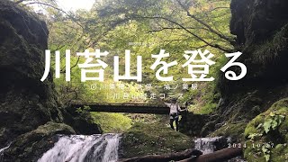 【東京】川苔山を登る　②川乗橋バス停〜鳩ノ巣駅｜川苔山縦走コース