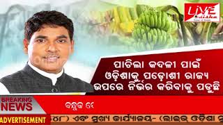 କଦଳୀ ଚାଷ ପାଇଁ କୃଷି ମନ୍ତ୍ରୀ ଗୃହରେ ରଖିଲେ ମତ