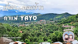 ดอยช้าง กาแฟ Yayo Farm Doichang