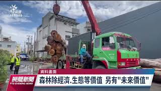 林試所估全台自然保育效益高達610億元 盼民眾了解森林有價｜20230511 公視晚間新聞