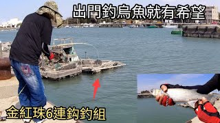 釣烏魚就有機會釣上魚 雲林箔仔寮漁港 自綁金紅珠6連鈎釣組（246集）@Pin338548 阿平趴趴走