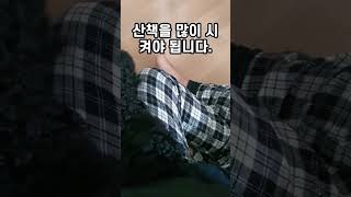 푸들 강아지 반려견으로 단점 3가지 치명적인것 포함