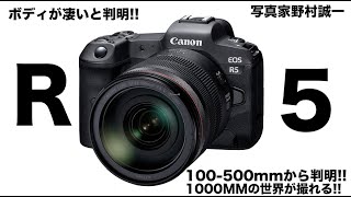 【野村誠一写真塾No027】EOS5 のセンサーの大きさが更に楽しみに!!!「 ICELAND」と野鳥「ひよどり」をCANON　EOSRとCANON-1DX Mark IIIで撮った。