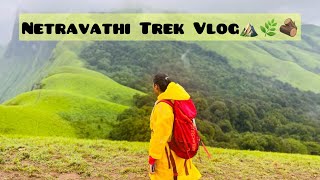 Netravathi Trek Vlog⛰️// ನೀವೆಲ್ಲರೂ ನೋಡಲೇಬೇಕಾದ ವಿಡಿಯೋ 💚🤌🌿#travelvlogs #nethravathi #trekking