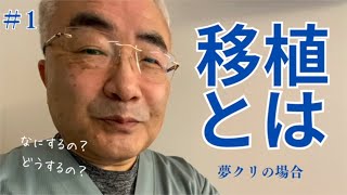 移植とは　神戸元町夢クリニック