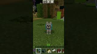 【Minecraft】謎の音【マイクラ】#shorts