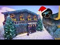 Adding a GIANT Sloth Exhibit to our Cosy Winter Zoo